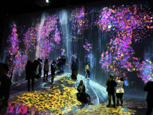 Students inside an art installation with projected light and floral motifs